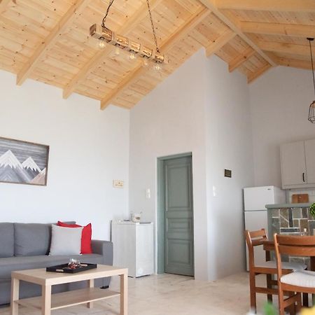 Pensjonat Rena'S Panorama View House Vóvikes Zewnętrze zdjęcie